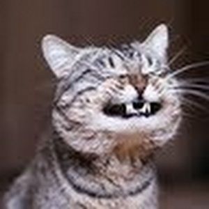 Meet your Posher, Maron